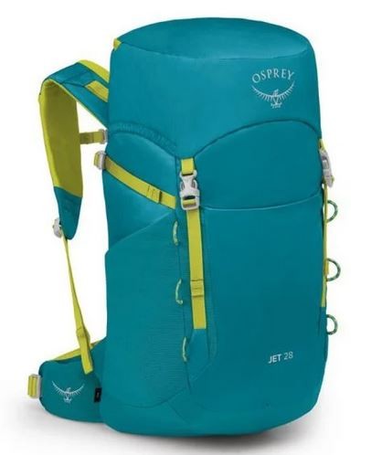 Jet 28 Blue Spikemoss