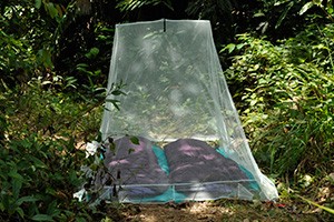 Cocoon Camping Mosquito Netz - Outdoor Netz Double
