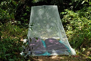 Cocoon Camping Moskitonetz - Outdoor Netz Double