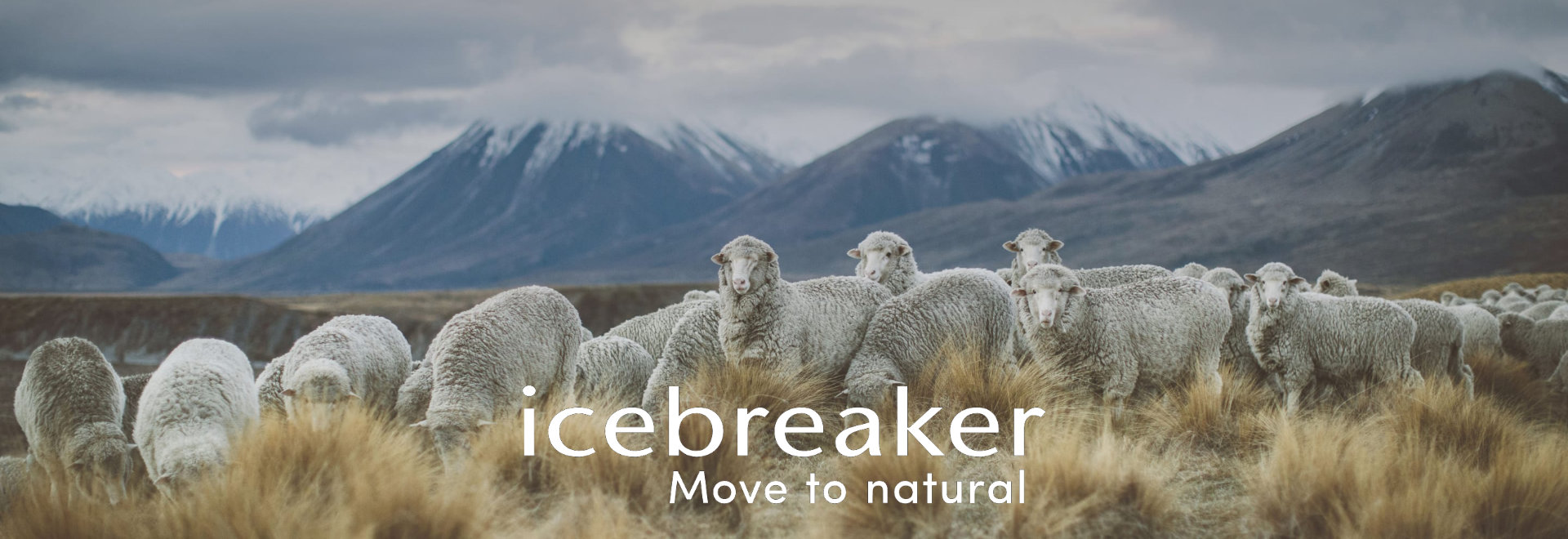 Merino-Baselayer von icebreaker – move to natural